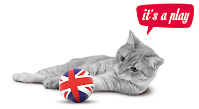 itsaplay_cat.jpg